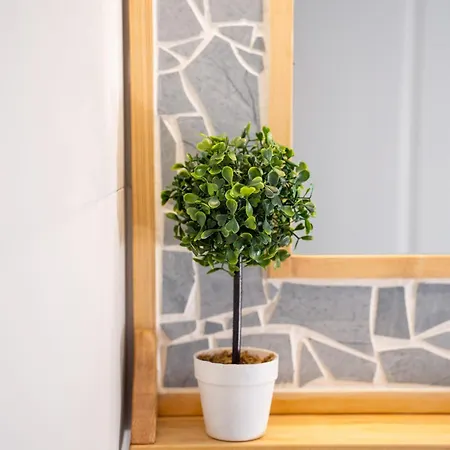 Xenia Apartment